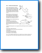 Capoeira Training Manual Pdf